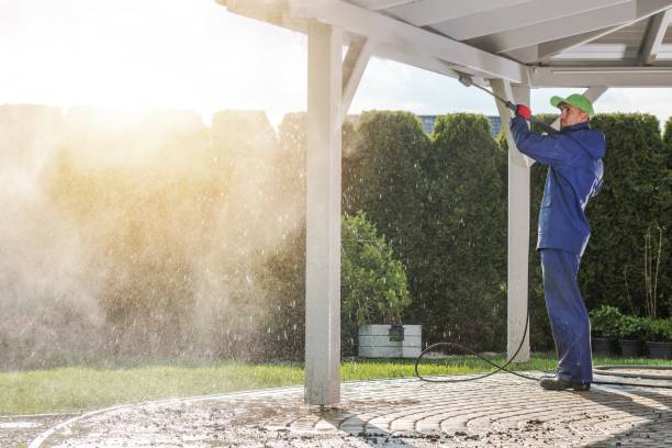 Best Animal Enclosure Cleaning  in Hybla Lley, VA